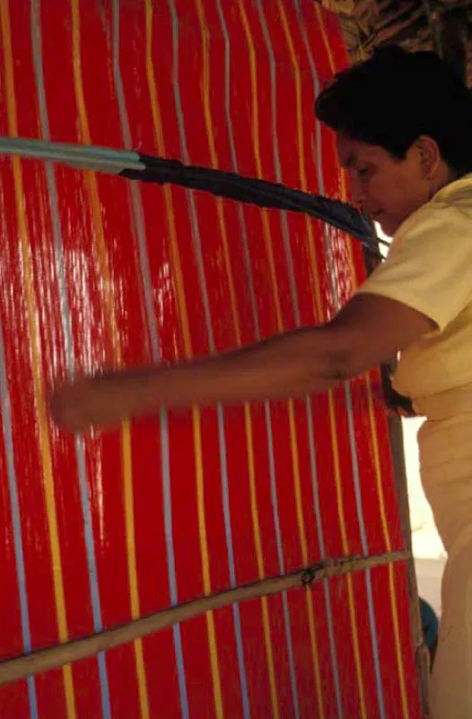 Tejido de chinchorro.
Se trata de una tela no elástica, compacta y pesada, tejida en telares verticales. Su tejido es plano o paleteado, llamado así por los indígenas wayuu que usan una paleta para comprimir la trama. Aunque existen hamacas de un solo color o blancas, son más frecuentes las de muchos colores.