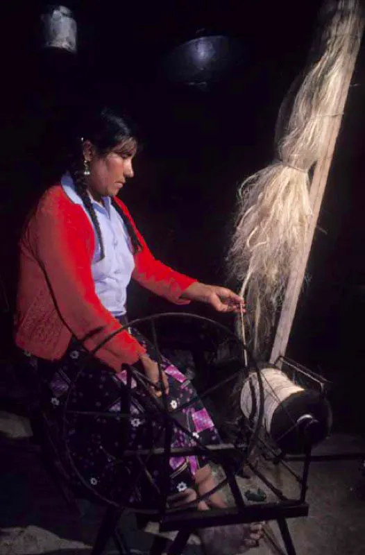 Hiladora de fique, Sandon, Nario. 
El fique es la fibra nacional colombiana. Pertenece a la familia de las agavceas y es conocido
tambin como maguey o cabuya, de cuyas hojas carnosas se obtiene una fibra muy dura, fina, brillante y blanca. Los pasos para su obtencin son el hilado o unin de las fibras, el retorcido y, segn el uso, el tinturado. 