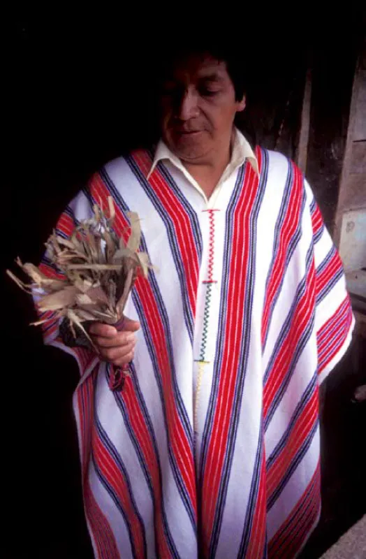 Chamán de la etnia inga, Sibundoy, Nariño.
Durante la ceremonia que rodea la toma de yagé el chamán o “taita” sacude sobre el paciente —invocando las buenas energías— un ramillete de hojas. Este es un atado de ramas de un bambú pequeño muy común en la selva, que recibe el nombre de Wayra-sacha que significa “hojas del viento”.