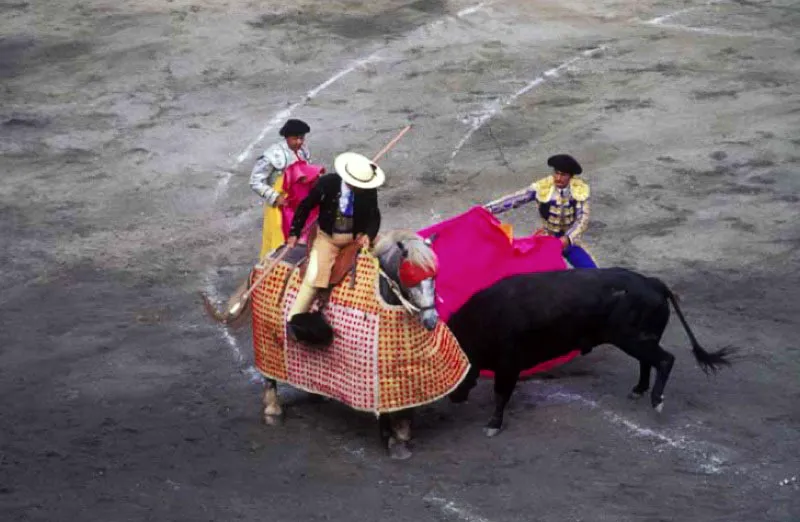 Plaza de toros de Manizales, Caldas. 
Una de las ms importantes plazas taurinas del pas, construida entre 1948 y 1950, e inaugurada con motivo de la celebracin del centenario de la ciudad. Es una rplica de la Plaza de Toros de Crdoba, Espaa, con un ruedo de 29 metros de dimetro y un aforo de 12 000 espectadores. 