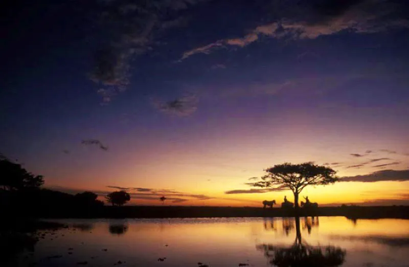 Atardecer en los llanos de Casanare. 
Enmarcan al departamento los ros Casanare y Meta y las estribaciones de la cordillera Oriental, de donde nacen la mayor parte de los ros que recorren el plano o levemente ondulado territorio casanareo. Entre estos estn los cauces del Upa, el Cusiana, el Cravo sur, el Ariporo, el Guachira y el Pauto. 