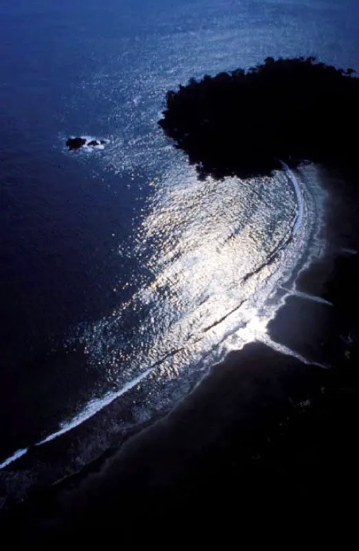 Parque Nacional Natural Sanquianga, Nario. 
Ubicado sobre la costa Pacfica del departamento del Nario, en una superficie mayoritariamente plana de 80 000 hectreas. Parque Natural desde 1977, est compuesto por la planicie con las islas de delta en las bahas del Tapaje, Amarales y Sanquianga, Bocana de Guascama y Bocana de Barrera. 