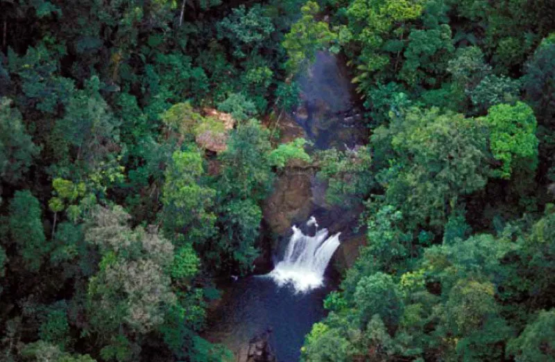 Ro Zabaletas, Valle del Cauca. 
Este afluente del ro Anchicay, nace en las alturas de la cordillera Occidental, en la zona del Dagua, siendo lmite norte del Parque Nacional Natural Farallones de Cali. Su caudal atraviesa bosques hmedos sub-andinos caracterizados por rboles de gran porte y un sotobosque rico y denso. 