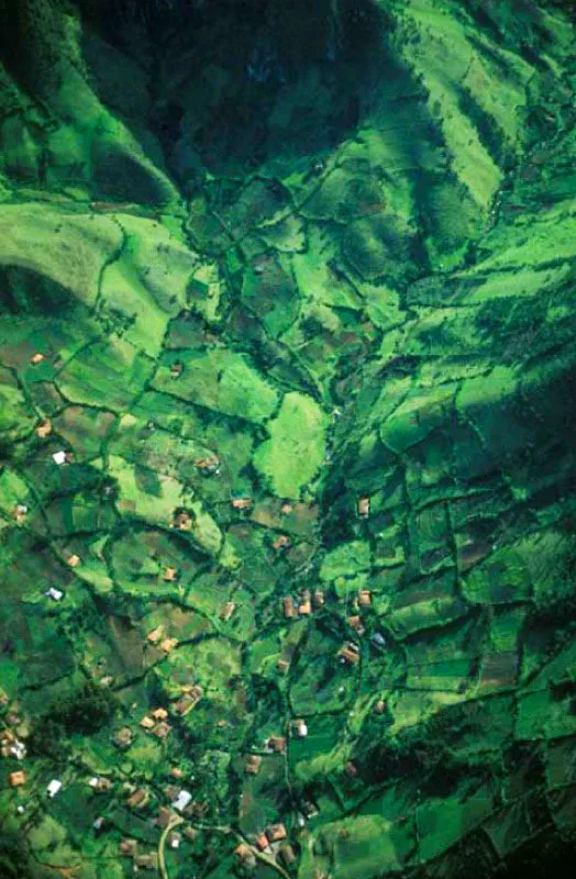 Zona rural de Silvia, Cauca.
Silvia, que hace parte de Guambía, territorio de los indígenas guambianos— está en el noreste
del Cauca, sobre el flanco occidental de la cordillera Central, entre 1 800 y 3 800 m.s.n.m. El ambiente se ha visto afectado por factores como la ganadería extensiva, la tala y quema de bosques.