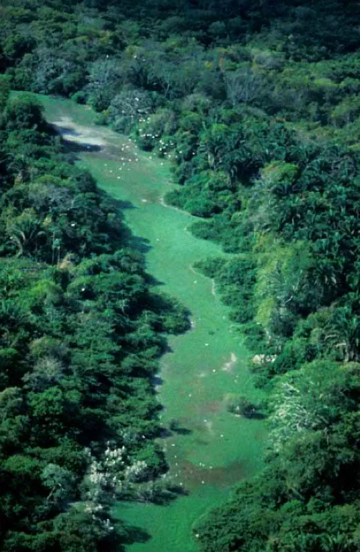 Ro Casanare, Meta. 
Es el tributario ms importante que tiene el ro Meta. Sirve de lmite entre los departamentos
de Arauca y Casanare, nace en la Sierra Nevada del Cocuy, al descender a la sabana se torna navegable y rico en pesca. Entre sus puertos estn San Salvador, Puerto Rondn y Cravo Norte. 