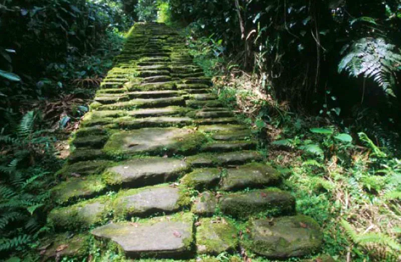 Camino en Ciudad Perdida, Magdalena.
A orillas del río Buritaca estaba Ciudad Perdida, descubierta y excavada en 1976. Más de 300 poblados arqueológicos, de distintos tamaños se encontraban tanto en la costa como en la sierra. Los distintos pueblos se comunicaban entre sí por una intrincada red de caminos hechos con lajas de piedra.