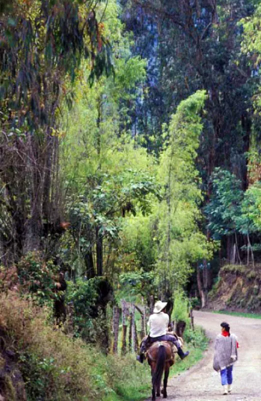 Tibaná, Boyacá.
Se encuentra a 36 km de Tunja, sobre el altiplano cundiboyacense, en la provincia de Márquez. Además de la explotación agropecuaria, Tibaná cuenta con recursos mineros como fosfatos, arcillas, arenas y recebo. Minas de carbón en la vereda de Chiguatá y chircales en la vereda Lavaderos.