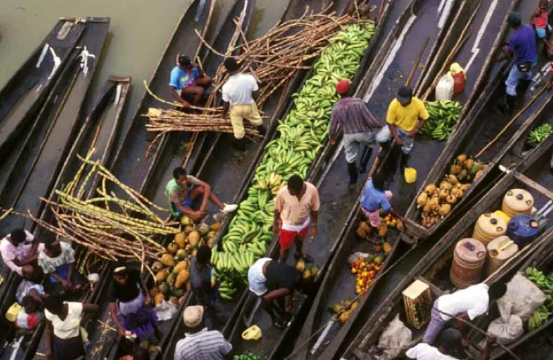 Quibdó, Chocó.
El río Atrato sirve de vía comercial a Quibdó y su entorno. Productos agropecuarios llegan, provenientes de distintos puntos de la zona y, aunque la agricultura es rudimentaria y difícil debido a las intensas lluvias, los principales cultivos son: plátano, maíz, arroz, cacao y coco.