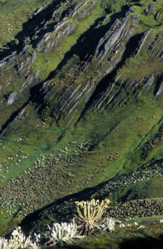 Pramo de Chingaza. 
Etimolgicamente Chingaza podra venir de los vocablos Chim (Dios), gua (serrana) y za (noche) Serrana del Dios de la noche. Este Parque Nacional Natural tena gran importancia religiosa y ceremonial para los muiscas quienes peregrinaban a sus lagunas para ofrendar oro a los dioses. Es la mayor fuente de agua potable de Bogot. 