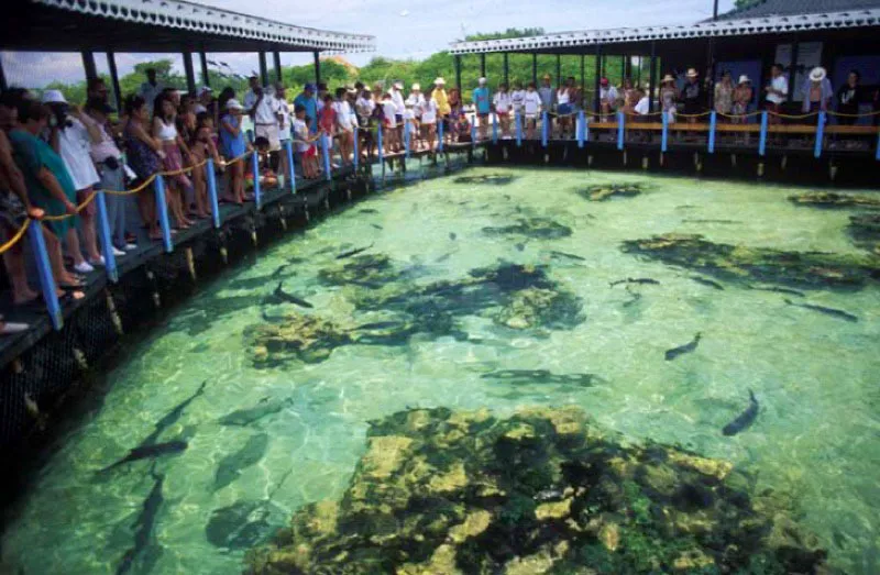 Acuario, islas del Rosario, Bolívar.
Fundado hace más de 15 años, está ubicado en la isla de San Martín de Pajarales y cuenta con más de 40 especies de fauna marina, entre las que se cuentan delfines, tiburones, meros, rayas, peces sierra y tortugas gigantes. El acuario promueve importantes campañas en pro de la ecología.