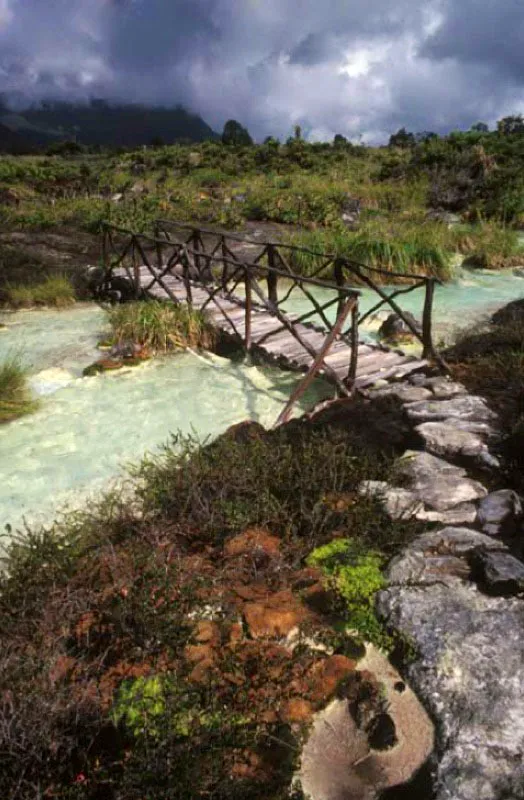 Termales, volcn del Purac. 
Situado en el corazn del Macizo Colombiano, el Parque Nacional Natural Purac cuenta con dos tipos de aguas termales: las aguas azufradas y cidas del ro Vinagre y las aguas salinas y tambin azufradas en los afloramientos de Pisimbal que llegan a tener temperaturas hasta de 22 C. 