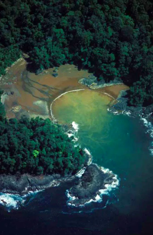 Bahía Solano, Chocó.
El golfo de Cupica tiene forma de C invertida. Bahía Solano está en el extremo sur y allí se ubica el pueblo llamado también Ciudad Mutis. Se sitúa en un feraz valle pluvial bajo, flanqueado por las estribaciones de la serranía del Baudó y es uno de los más bellos sitios turísticos del país.