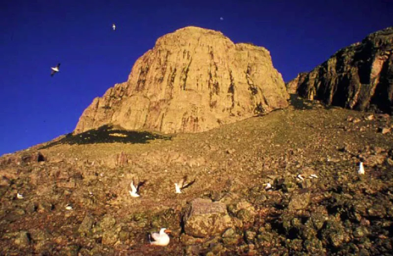 Isla de Malpelo.
La isla principal de este archipiélago, que emerge desde más de 4 000 metros de profundidad, en el cerro de la Mona llega a 300 m.s.n.m. Está rodeada por 11 islotes: los Cuatro Mosqueteros, en el extremo norte; Vagamares y La Torta en el oriente y cinco en el extremo sur: los Tres Reyes, La Gringa y Escuba.