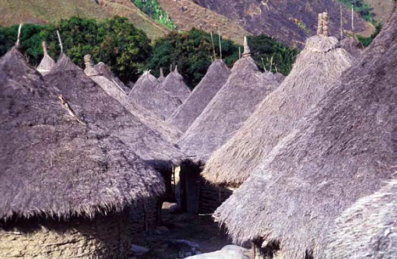 Taminaca, Sierra Nevada de Santa Marta, Magdalena.
Este poblado se halla en el valle del río Palomino en las estribaciones septentrionales de la Sierra Nevada y funge como uno de los centros ceremoniales y comunitarios del pueblo kogui, considerado como el heredero directo de las ciencias taironas. Una cerca sirve de lindero al conjunto de casas circulares.