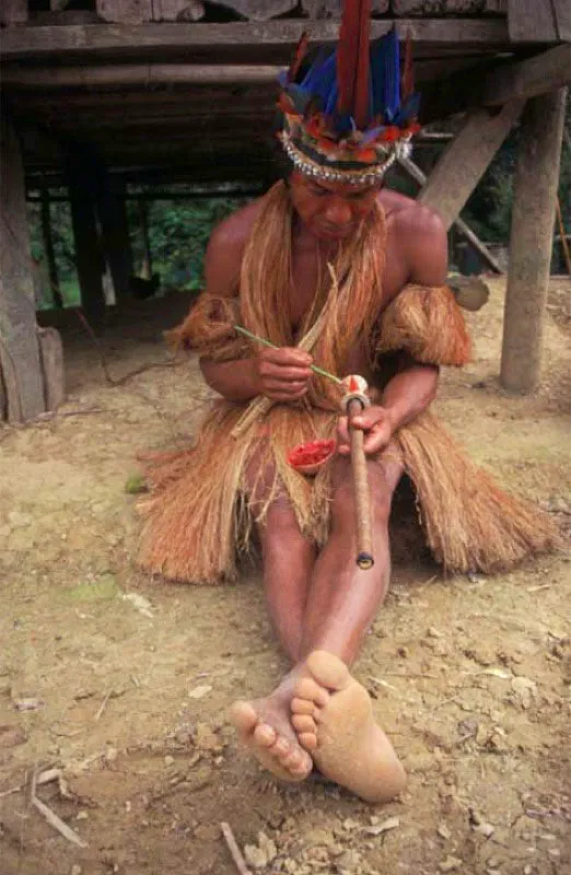 Indgenas yagua, Amazonas. 
Los yaguas practican la caza, que tiene un gran significado simblico y ritual, la pesca, la recoleccin y cultivan yuca dulce, maz, taro, caa, frutales y tabaco en pequeas cantidades. En los ltimos aos, la pesca tiende a convertirse en la actividad econmica ms importante. 