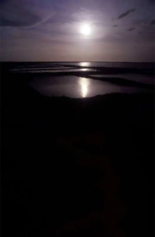 Manaure, Guajira. 
Eduardo Zalamea llam a La Guajira Tierra de sed ardiente, de besos extenuantes, de sol agobiador, de misterio impreciso. Arturo Camacho Ramrez dijo que aqu el viento se desata como lengua impalpable en la salina, robando su sabor que nos envuelve con un rastro de clidas espinas. 