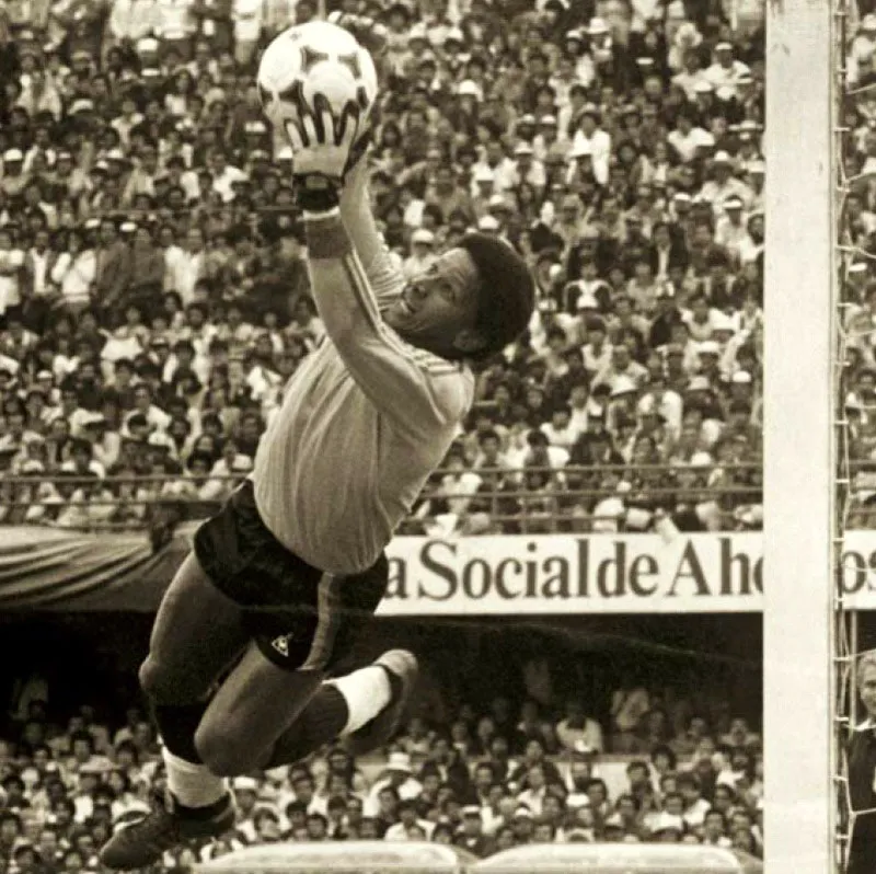 Pedro Zape defendió el arco de la Selección Colombia en 56 ocasiones.