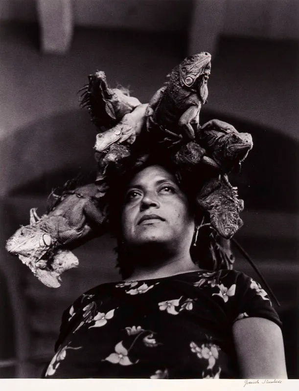 Graciela Iturbide / Mxico D. F. (Mxico), 1942 / Nuestra Seora de las iguanas (Juchitn, Mxico) / 1979 / Impresin de plata sobre gelatina, sobre papel  / 105,5 x 72 cm / Registro 3873 / Ingreso a la coleccin: febrero de 1998 