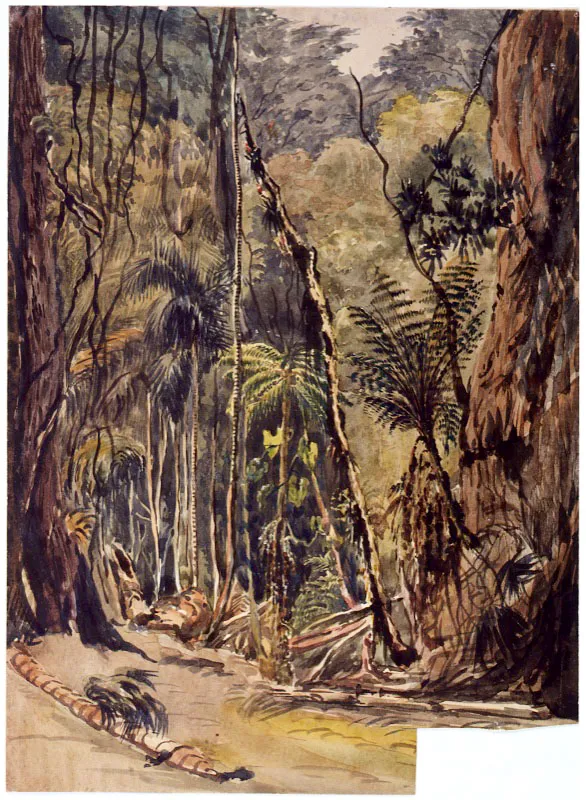 Henry Price / Londres (Inglaterra), 1819 - Brooklyn, Nueva York (Estados Unidos), 1863 / Páramo de Ruiz / (Provincia de Córdoba) / 1852 / Acuarela sobre papel / 23,6 x 17,4 cm / Registro: 4316 / Ingreso a la colección: noviembre de 2006