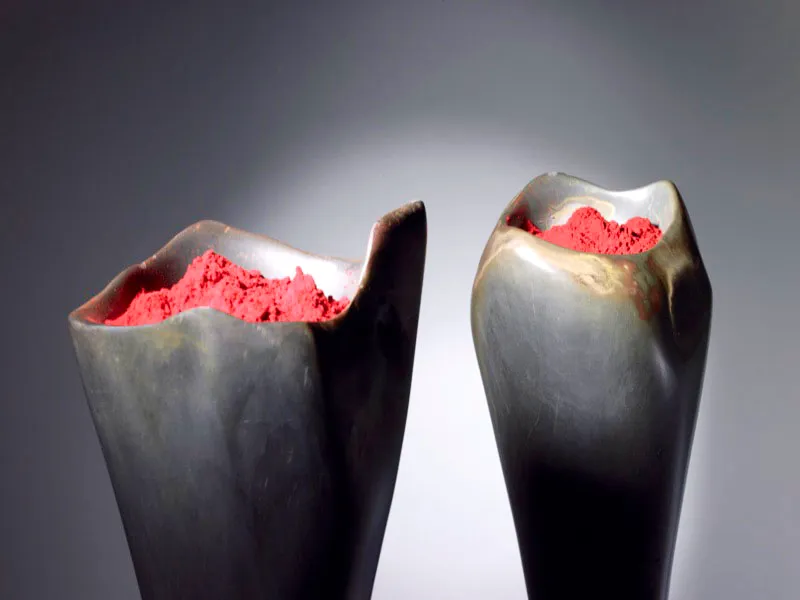 FLORES DEL MAL.
2000.
Homenaje a Baudelaire.
Lutita y óxidos de hierro.
Detalle