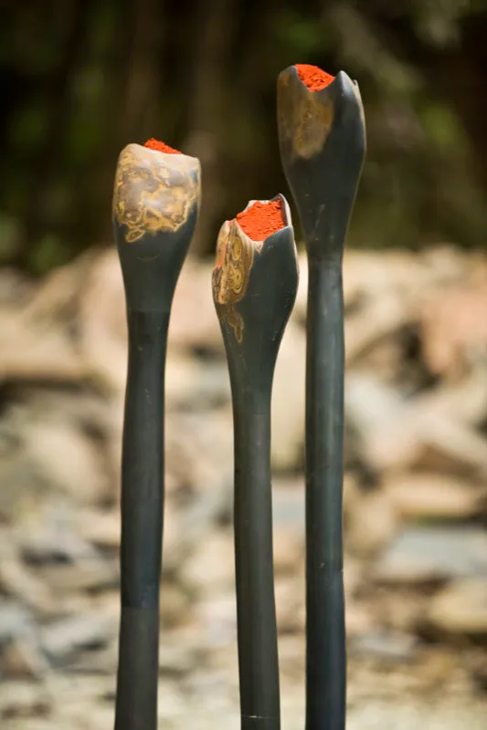 FLORES DEL MAL.
2000.
Homenaje a Baudelaire.
Lutita y óxidos de hierro.
Detalle