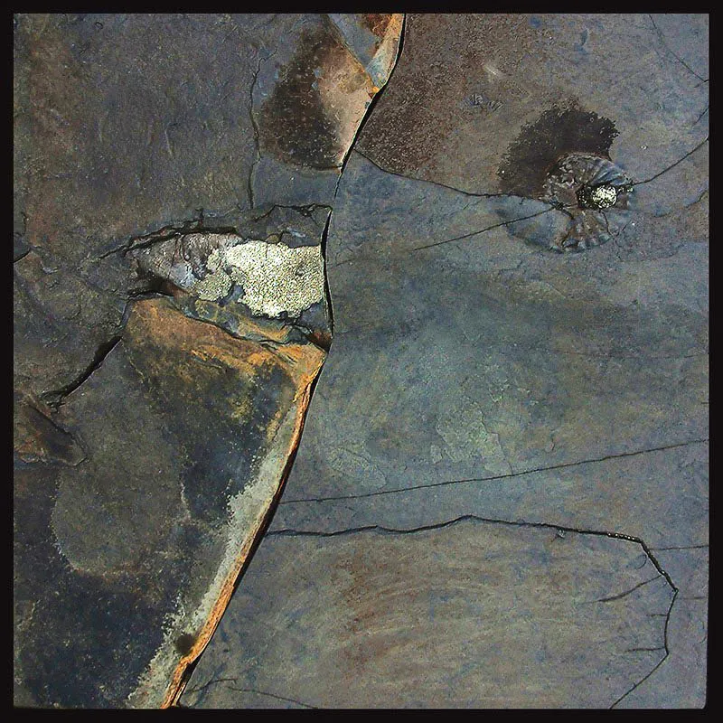 PAISAJE RESCATADO. 
2005. 
Ensamble en pizarra. 
80 x 80 x 6 cm aprox.  