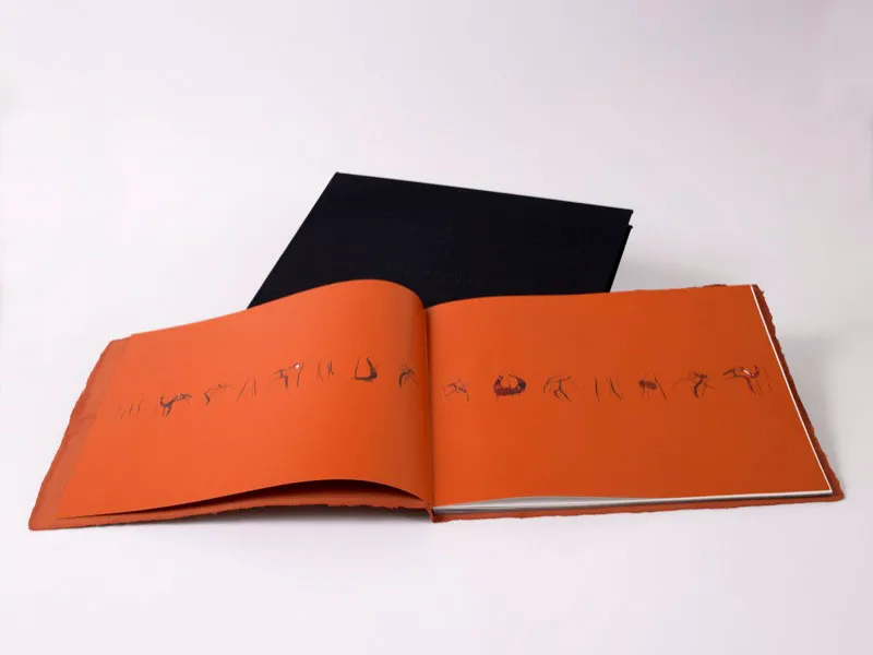 ESCRITURAS.
2008.
Hugo Zapata y William Ospina.
Libro de artista.
Taller Arte Dos Gráfico, Bogotá.
