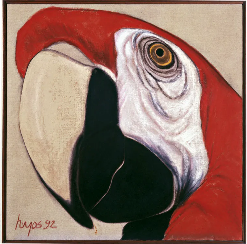 Ana Mercedes Hoyos / Guacamaya / 1992 / leo sobre lienzo / 100 x 100 cm scar Monsalve