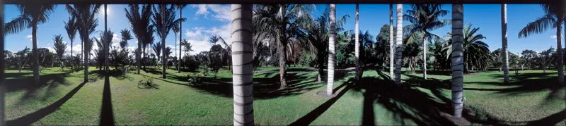 Jardín Botánico.