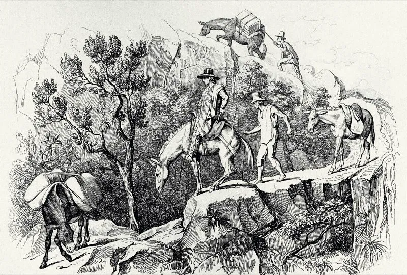Transporte de correo y mercancías hacia Bogotá por las montañas del Quindío. Travesía del sargento. Dibujo de Sainson y Boilly, grabado de Beyer. Voyage Pittoresque dans les deux Amériques, Biblioteca Luis Ángel Arango.