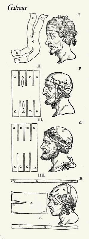 Los mdicos Miguel de Isla, Vicente Gil de Tejada, Juan Mara Pardo y Jos Flix Merizalde utilizaron durante ms de medio siglo, con mucha eficacia, estas ilustraciones que complementaban los textos de medicina en uso para la enseanza. 