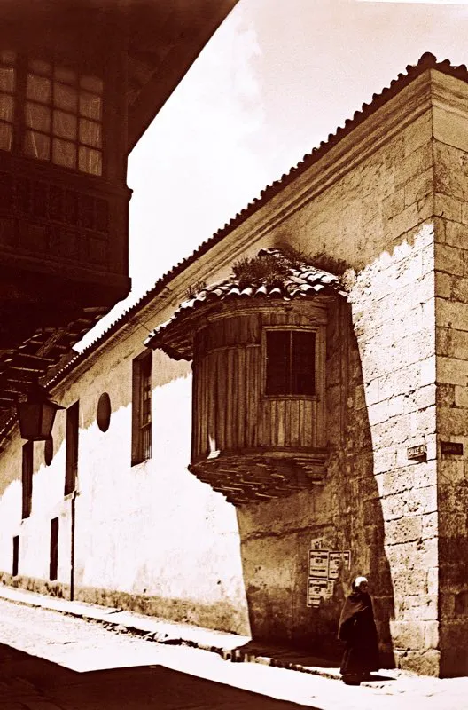 El 10 de agosto de 1606 se abrieron al culto las puertas de la iglesia de Nuestra Señora del Carmen, levantada por la orden carmelitana, en la carrera 5.ª entre calles 7.ª y 8.ª. Como parte de la iglesia y del convento se construyó en 1655, entre las calles 8.ª y 9.ª con carrera 5.ª el denominado Camarín de la iglesia del Carmen, que le dio a la calle 9.ª el nombre de Calle del Camarín del Carmen. En términos eclesiásticos camarín es una capilla pequeña en la que se venera alguna imagen, en este caso las de Nuestra Señora del Carmen y la Virgen de Chiquinquirá. En el siglo xix, a partir de la Constitución de Rionegro (1863), la capilla del Camarín, así como otras propiedades desamortizadas, tuvo un uso social, bien como aula, bien como salón de reuniones y sala de teatro. Actualmente es sede de la Compañía de Teatro del Camarín del Carmen, creada en 1989 por Pavel Nowicki. Foto de Manuel A. Rodríguez.