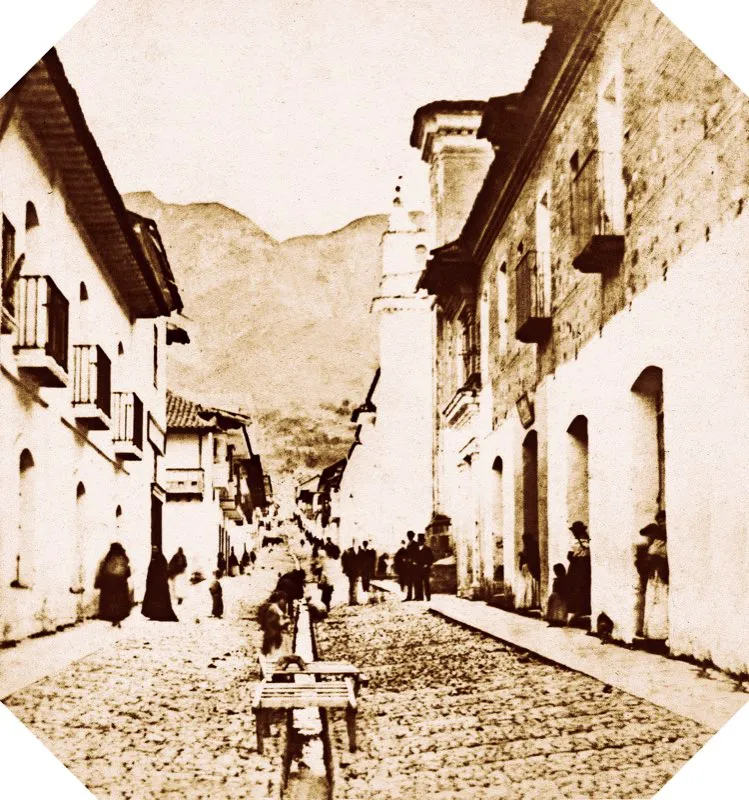 Hotel Pasajeros, en la calle 12 entre carreras 12 y 10..  Calle de San Carlos (calle 10. entre carreras 6. y 7.). Los caos de aguas negras que hacan las veces de alcantarillado, durante la Colonia y el siglo xix, eran foco permanente de enfermedades infecciosas en la ciudad y le suministraban ese mal olor, casi pestilencia, que ya haba advertido en 1790 Antonio Nario, y al cual se refieren casi todos los viajeros que visitan la ciudad. Al terminar el siglo la mayora de los caos haban sido cubiertos por la compaa del acueducto y quedaban iniciadas las obras del moderno alcantarillado. Foto de Demetrio Paredes, ca. 1886. 