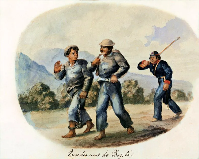 Presidiarios de Bogot, acuarela de Ramn Torres Mndez. Aparte de estos individuos, los nicos agentes de limpieza que haba en la ciudad a principios del siglo xix eran la lluvia, los gallinazos y los cerdos. El cnsul francs Auguste Le Moyne anota al respecto: Por fortuna la naturaleza que, como si se preocupara por ello, pone siempre el remedio al lado de la enfermedad, ha dotado esta sabana, lo mismo que casi todas las regiones de Amrica del Sur, de un ave utilsima, ya que hace las veces, por decirlo as, de barrendero pblico: ese pjaro es el gallinazo. Coleccin de la Biblioteca Luis ngel Arango,  Bogot. 