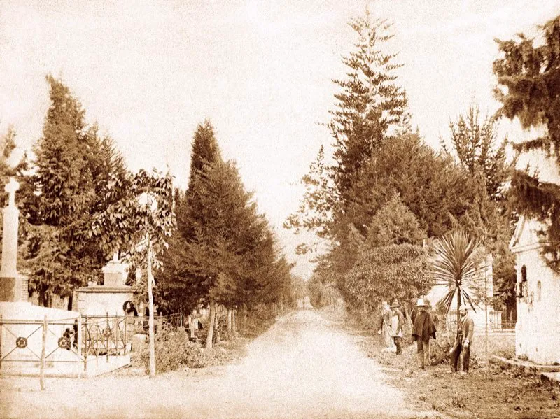 Entrada al cementerio viejo, 1895. Fue larga la lucha de las autoridades para erradicar la costumbre de los bogotanos de enterrar a sus muertos dentro del recinto de iglesias y capillas. Santander fue el primer personaje en ser sepultado en este cementerio, en 1840. El cementerio fue construido en 1827, con la dirección arquitectónica y diseños de Pío Domínguez y Rafael Álvarez. La capilla se edificó en 1839. Más adelante, en 1873, se construyó una segunda ala, que fue denominada Cementerio Nuevo, quedando la anterior con el nombre de Cementerio Viejo. Aquél está formado por una galería circular y una gran plataforma, con espléndida arborización, mausoleos y pasadizos. Fotografía de Henry Duperly.