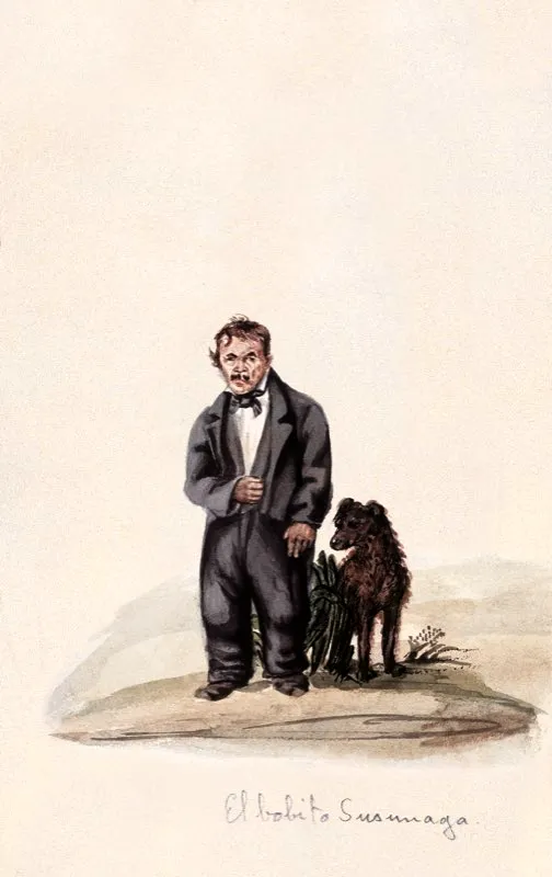 El bobito Susumagá. Dibujo caricaturesco de la época, realizados por José María Espinosa. Museo Nacional de Colombia y Biblioteca Nacional, Bogotá.