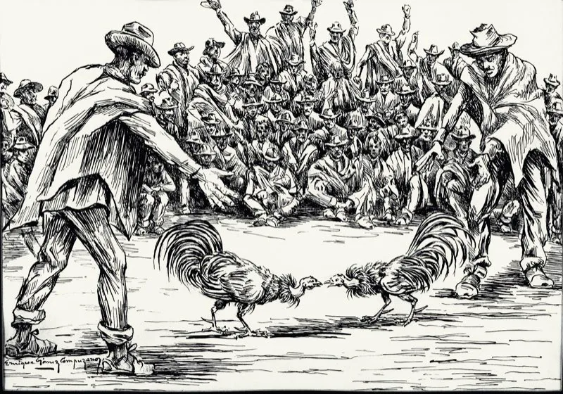 Pelea de gallos, dibujo de Enrique Gómez Campuzano.