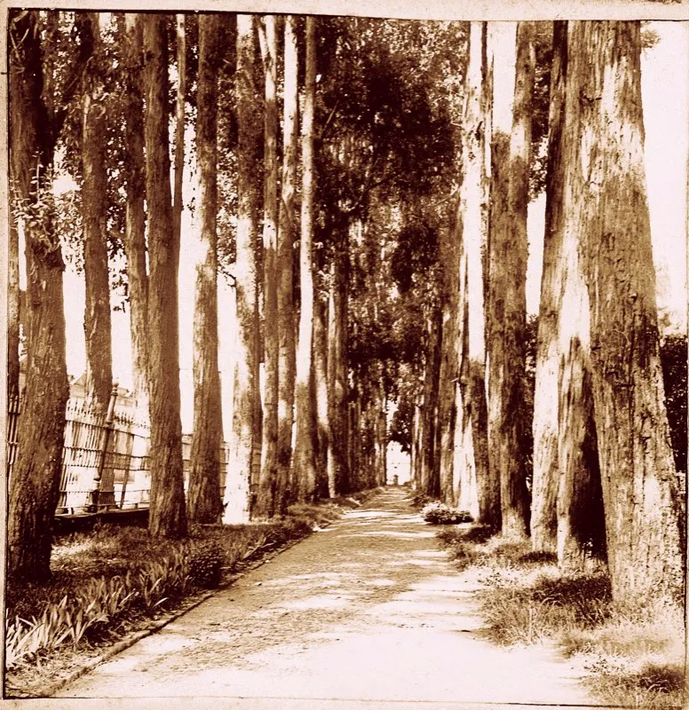 El jardín poseía una gran variedad de árboles y flores, dos pilas de bronce, varios asientos de madera, un lago circular y un carrusel para diversión de los niños. En el centro del parque se levantó un hermoso templete (hoy en el Parque de los Periodistas) de piedra, destinado a la estatua del Libertador y encargado a Europa. El Parque del Centenario, complementado después (1910) con el Parque de la Independencia, carrera 7.a de por medio, duró hasta el año de 1947, en que fue destruido para abrirle paso a la carrera 10.ª.