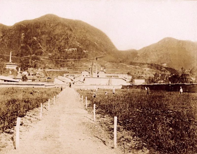 En 1889 el empresario alemn Leo Sigfried Kopp, que ya tena en Bogot desde 1884 el importante almacn llamado El Bazar Veracruz, fund la fbrica de cerveza Bavaria, denominada al principio Bavaria Kopp Deutsche Bier Brauerei. La gran fbrica de Bavaria en el sector de San Diego, sobre la carrera 13, fue inaugurada en 1893 y marc el inicio del desarrollo de la ciudad hacia el norte, adems de que estimul diversas actividades en torno a la elaboracin de cerveza. Los fabricantes de la cerveza Bavaria garantizaban que nuestra cerveza es compuesta slo de la mejor malta fabricada de la mejor cebada colombiana y del mejor lpulo bohmico.  Fotografa de Henry Duperly, 1895. 