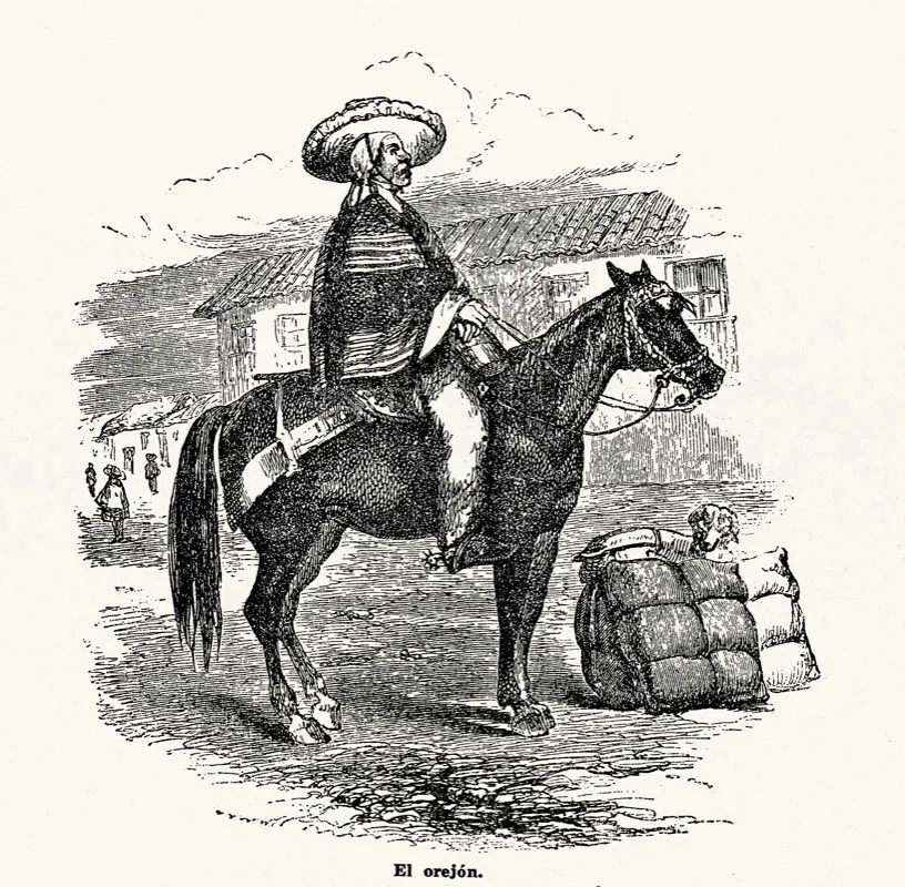 El “orejón sabanero” debía su nombre a la manera peculiar como amarraba un pañuelo a su cabeza, debajo del sombrero. Dibujo de Ramón Torres Méndez, 1857. Ilustración para el libro de Isaac Holton New Granada: Twenty Months in the Andes. Original extraviado.