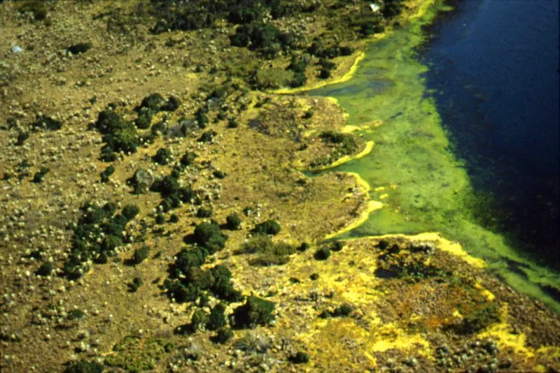 Pramo de Sumapaz, Cundinamarca. 
