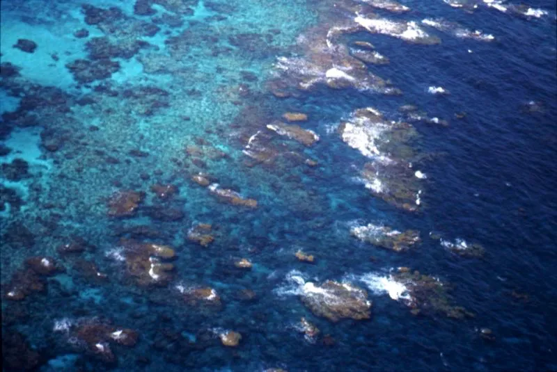 Barrera coralina, Providencia.