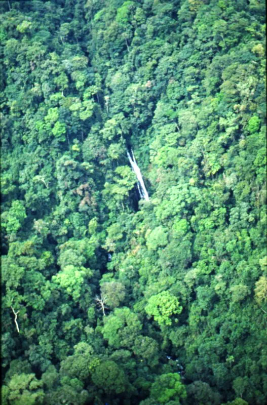 Parque los Katíos, Chocó.
