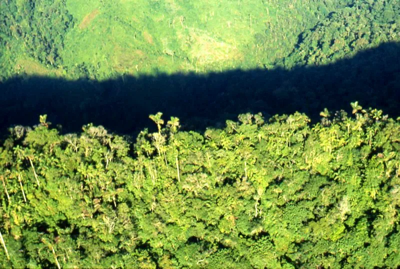Sierra Nevada de Santa Marta, Magdalena.
