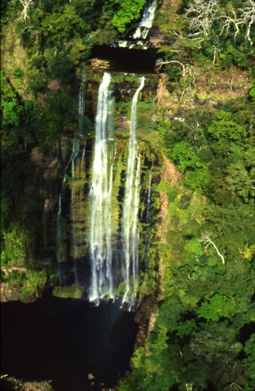 Parque los Katíos, Chocó.