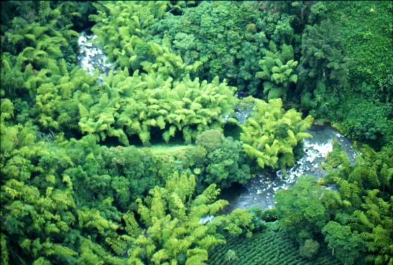 Pereira, Risaralda.