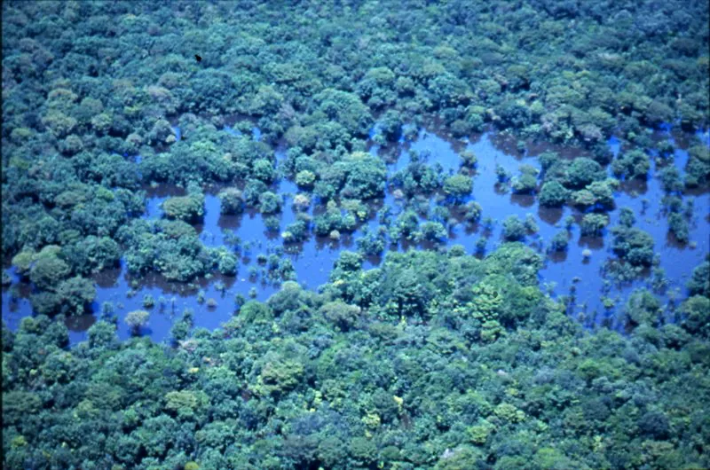 Puerto Nariño, Amazonas.
