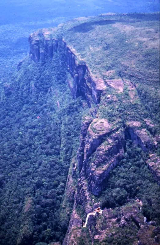 Serranía de Chiribiquete, Guaviare.