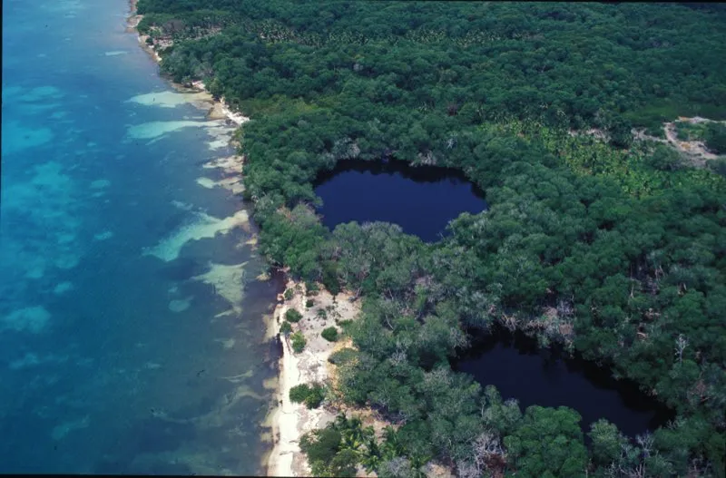 Isla de Tulipán, Córdoba.