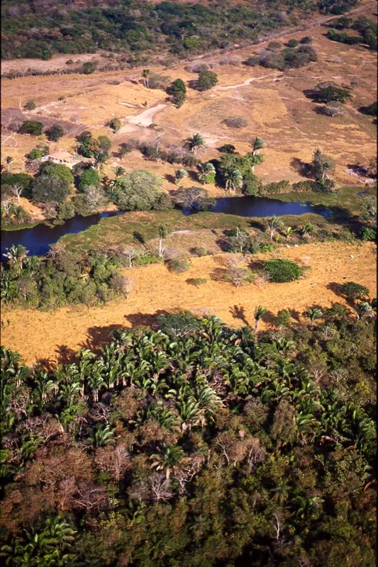 El Milagro, Casanare.